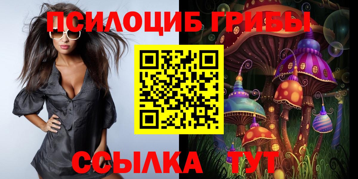 Псилоцибиновые грибы Cubensis Кунгур